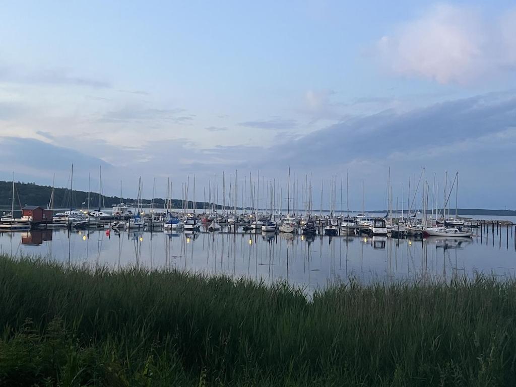 'Kapitaenslounge' Vollsanierte Fewo Mit Blick Auf Die Flensburger Foerde Harrislee Exterior foto